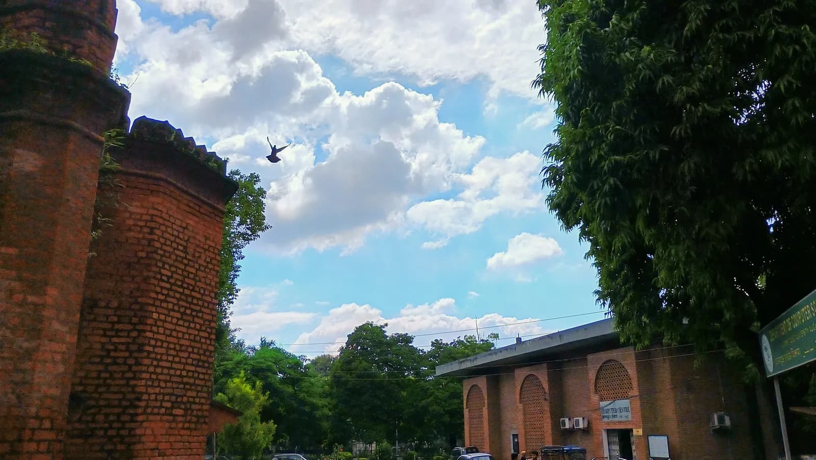 Aligarh Muslim University Department of Architecture campus